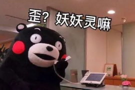 三河融资清欠服务